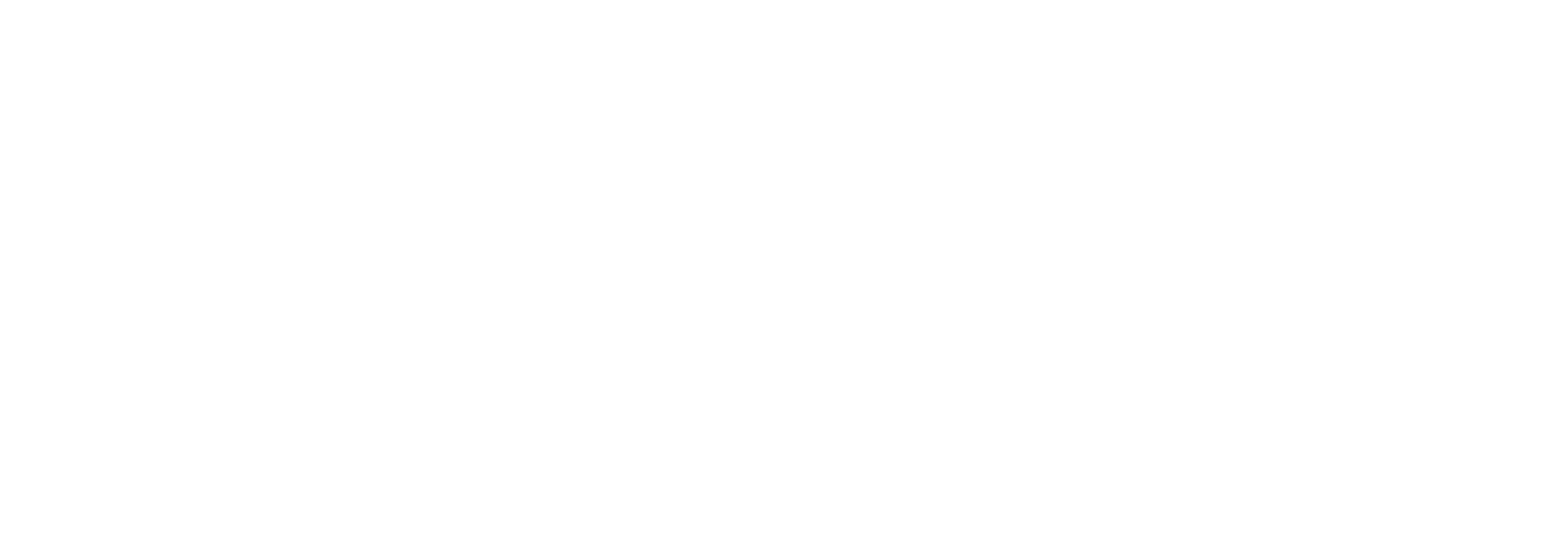 Cleaning Exp Toronto Logo-04